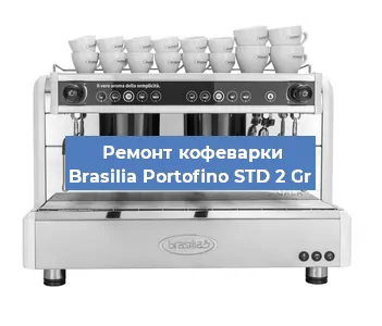 Чистка кофемашины Brasilia Portofino STD 2 Gr от накипи в Москве